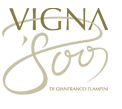 Vigna 800